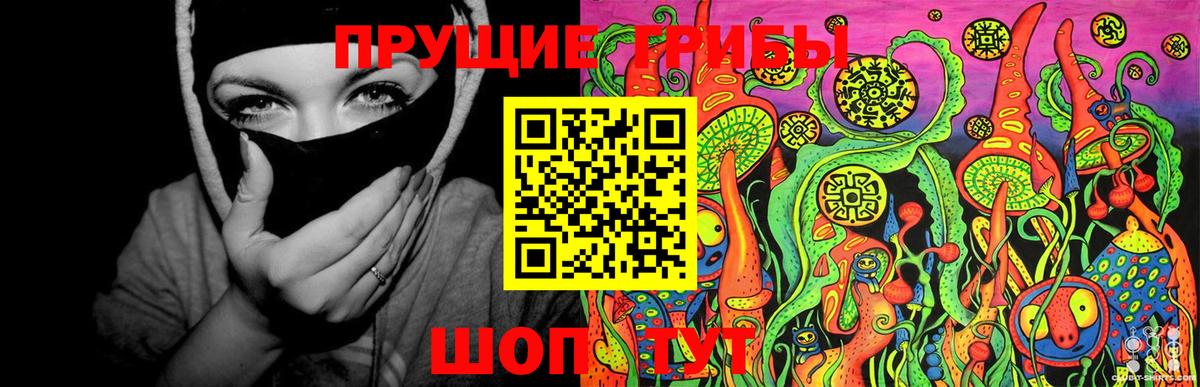 Псилоцибиновые грибы ЛСД  Галлюциногенные грибы Cubensis  купить закладку  Аксай  Вход с VPN 
