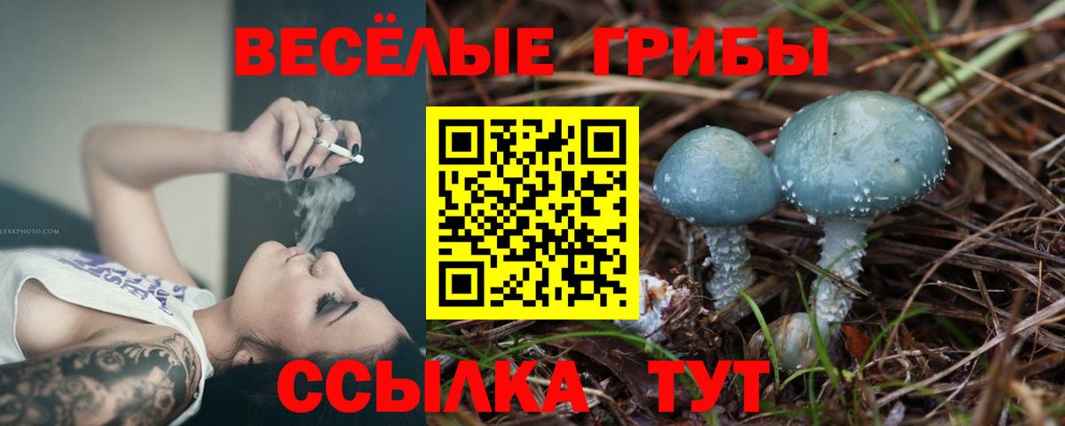 Галлюциногенные грибы GOLDEN TEACHER Аксай