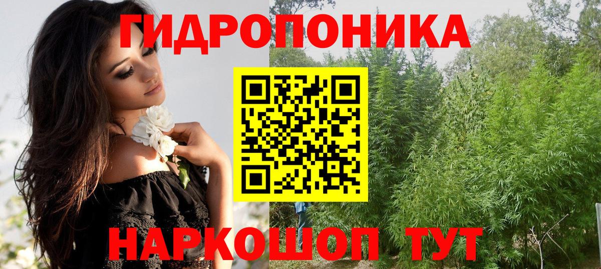 Бошки марихуана план Аксай
